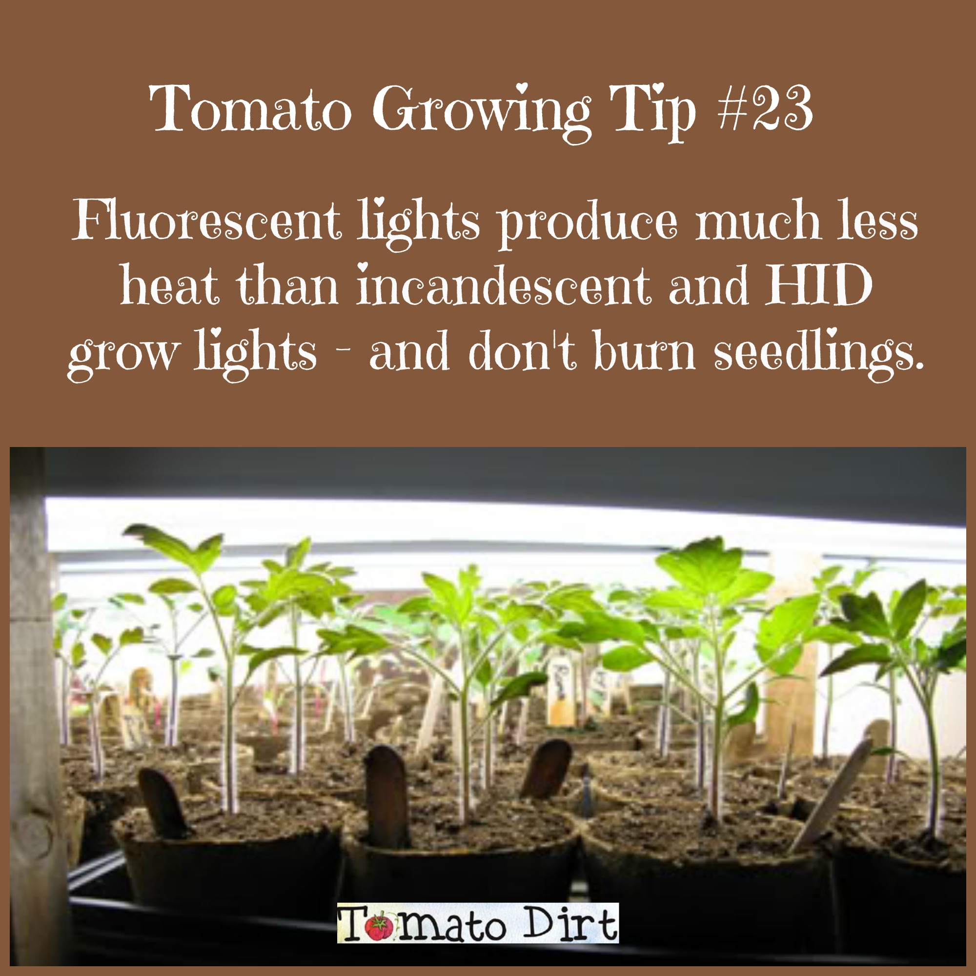 Can You Use Regular Fluorescent Lights To Grow Plants Mount It Right